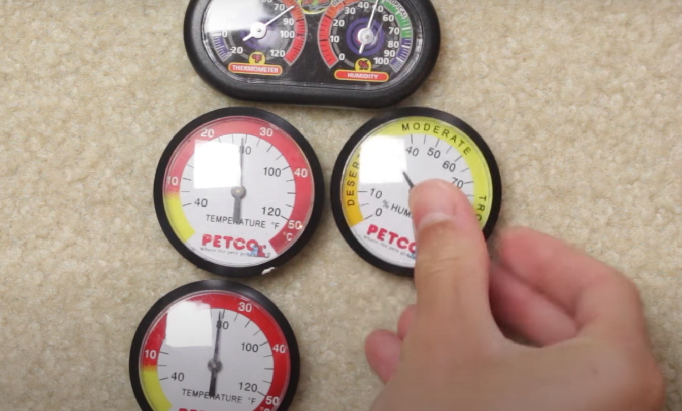 Top 5 Best Reptile Hygrometers [July 2024 Review] ReptileProfy