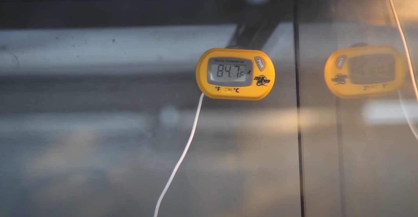 Top 5 Best Reptile Thermometers [March 2024 Review] ReptileProfy