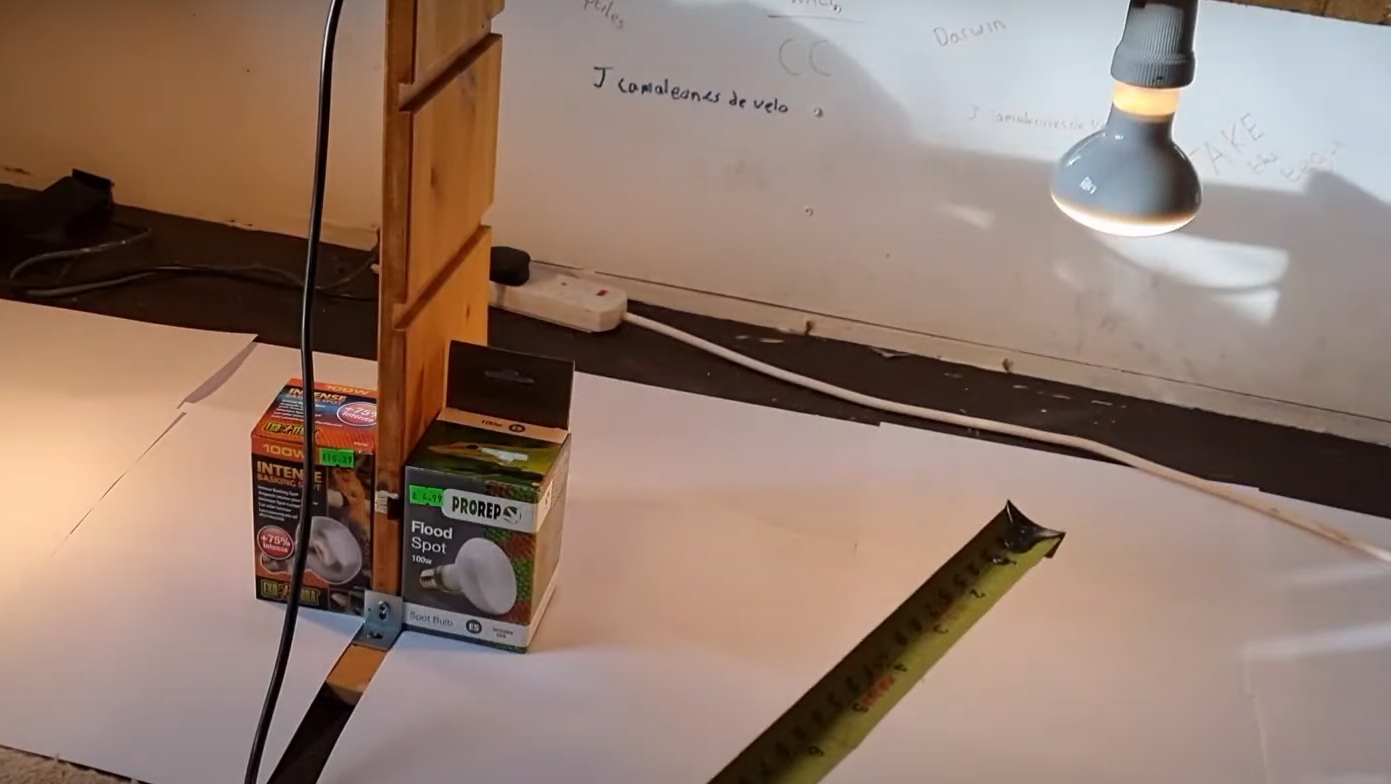 Top 5 Best Reptile Heat Lamps [February 2024 Review] ReptileProfy