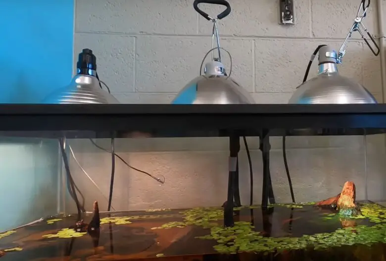 Top 5 Best Reptile Heat Lamps [February 2024 Review] ReptileProfy