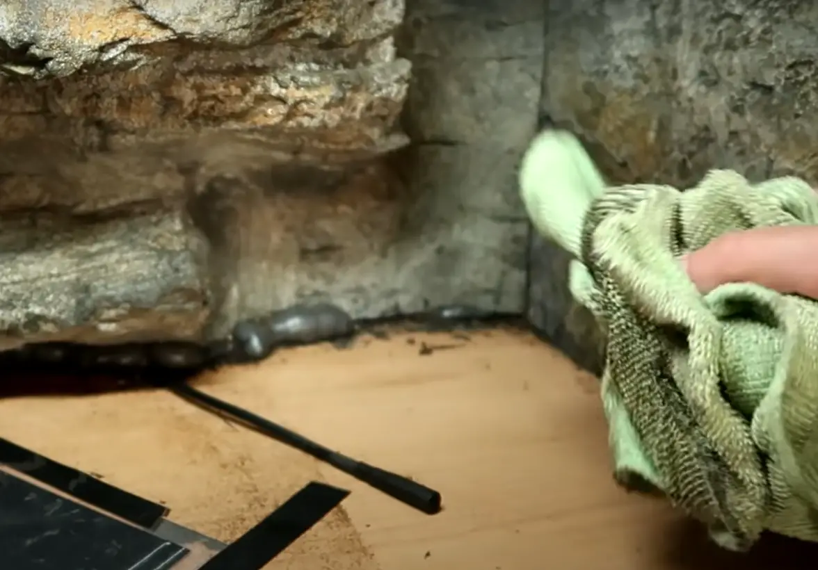 Top 5 Best Reptile Disinfectants [September 2024 Review] ReptileProfy