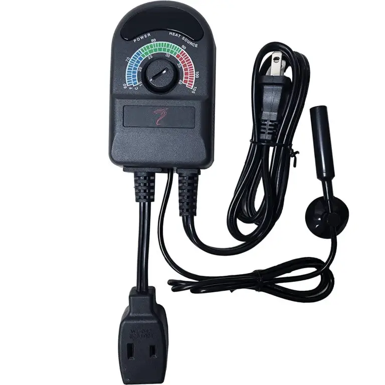 Top 5 Best Reptile Thermostats [March 2024 Review] ReptileProfy