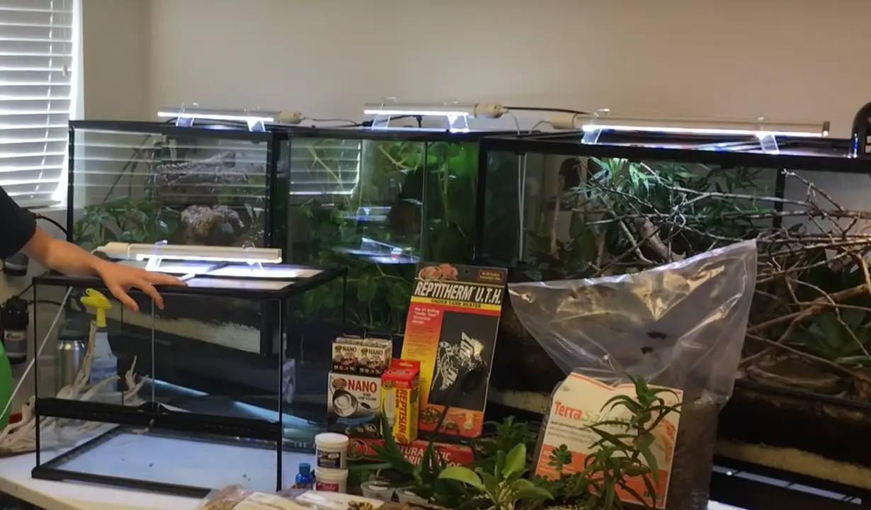 Top 5 Best Leopard Gecko Terrariums [June 2024 Review] ReptileProfy