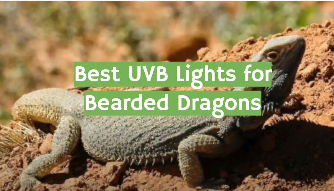 Primitiv åbning evig Top 5 Best UVB Lights for Bearded Dragons [March 2023 Review] - ReptileProfy