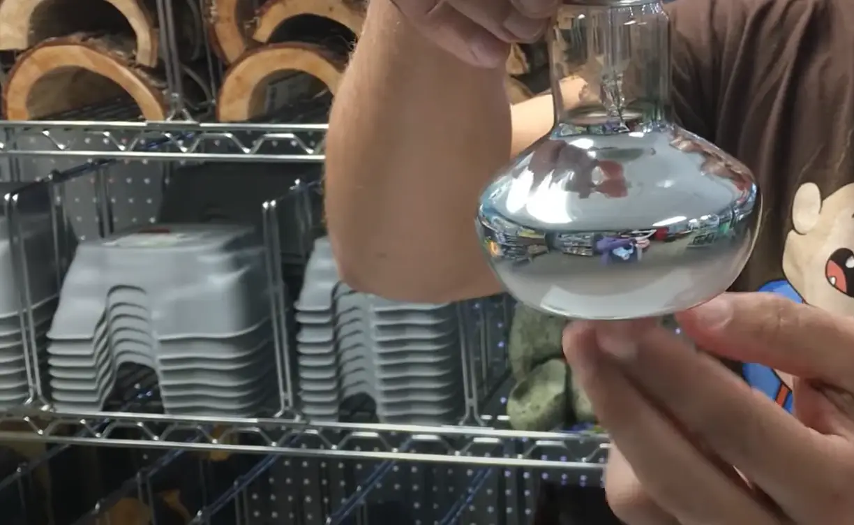 Top 5 Best Heat Lamps for Ball Python [May 2024 Review] ReptileProfy