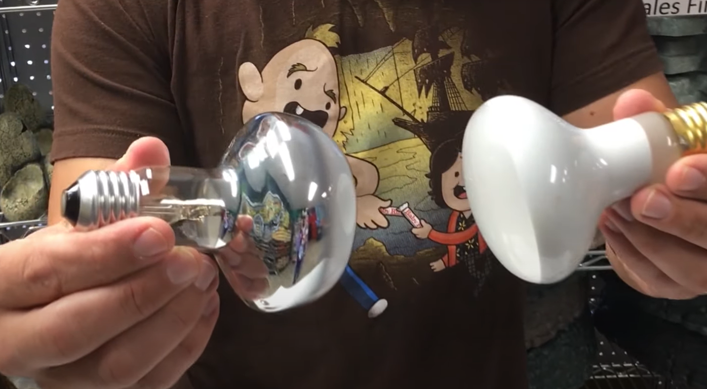 Top 5 Best Heat Lamps for Ball Python [May 2024 Review] ReptileProfy