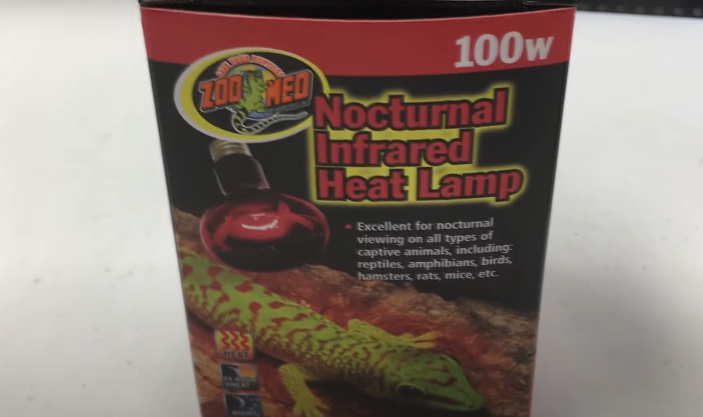 Top 5 Best Heat Lamps for Ball Python [May 2024 Review] ReptileProfy