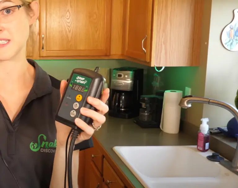 Top 5 Best Under Tank Heaters for Leopard Gecko [September 2024 Review