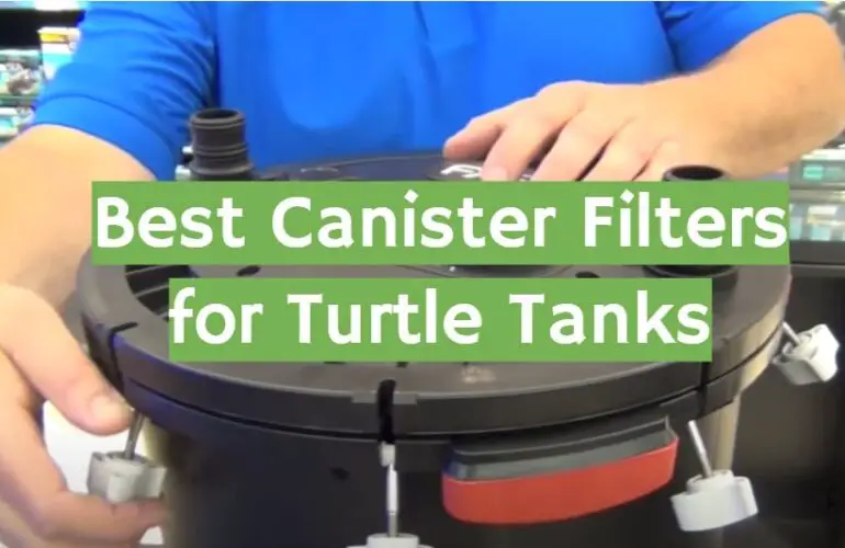 Top 5 Best Canister Filters for Turtle Tank [2021 Review] ReptileProfy