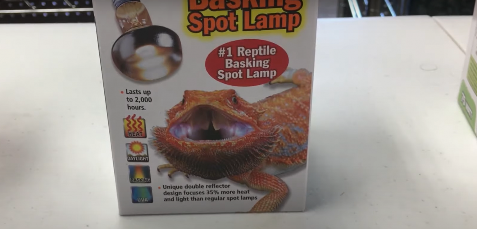 Top 5 Best Heat Lamps for Iguanas [June 2024 Review] ReptileProfy