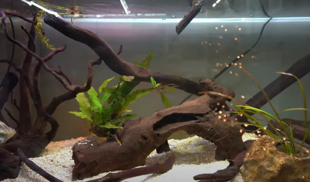 Danger of Adding Artificial Plants to Your Turtle Tank