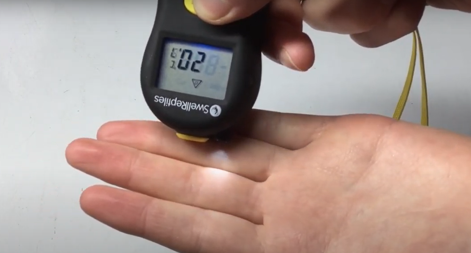 Top 5 Best Thermometers for Bearded Dragons [April 2023 Review