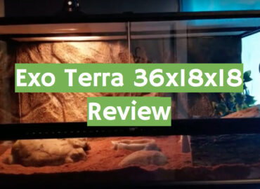 Exo Terra 36x18x36 Terrarium Review in 2021 - ReptileProfy