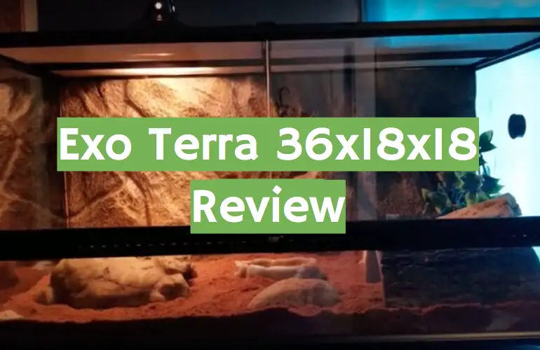 Exo Terra 36x18x18 Terrarium Review August - ReptileProfy