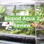 Biopod Aqua 2 Review