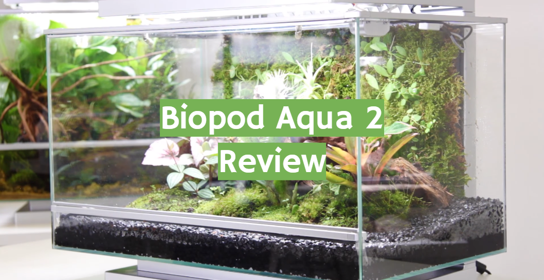 Biopod Aqua 2 Review