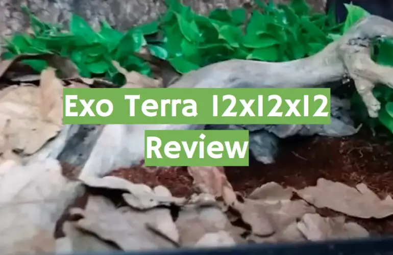 Exo Terra 12x12x12 Terrarium Review in 2021 - ReptileProfy