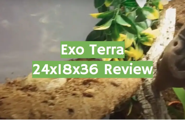 Exo Terra 24x18x36 Terrarium Review in 2021 - ReptileProfy