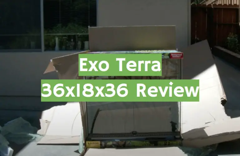 Exo Terra 36x18x36 Terrarium Review in 2021 - ReptileProfy