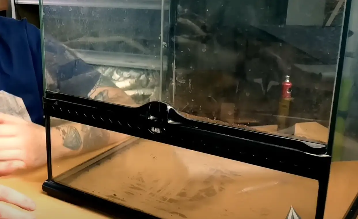 Exo Terra 18x18x12 Terrarium Review in June 2024 ReptileProfy