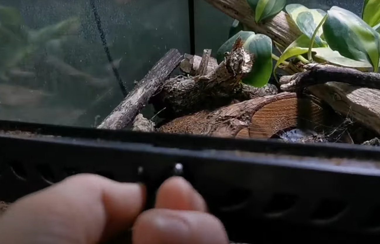 Exo Terra 18x18x12 Terrarium Review in June 2024 ReptileProfy