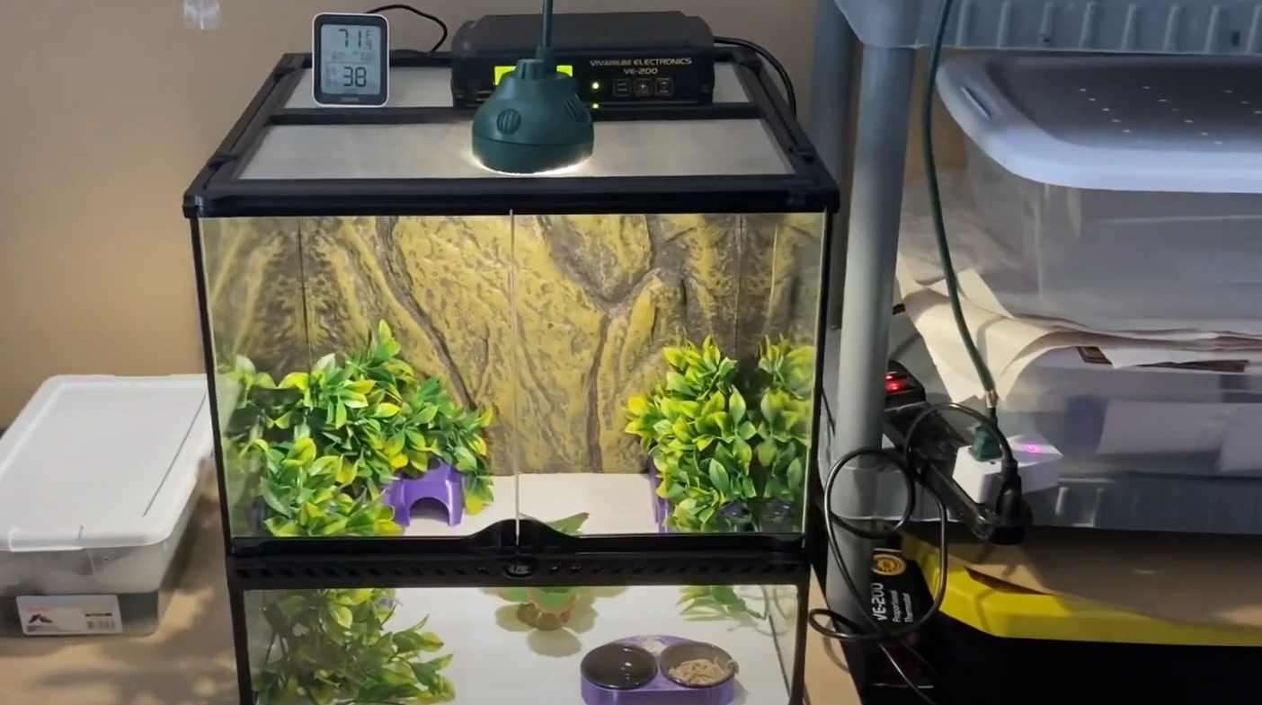 Exo Terra 18x18x18 Terrarium Review in August 2024 ReptileProfy