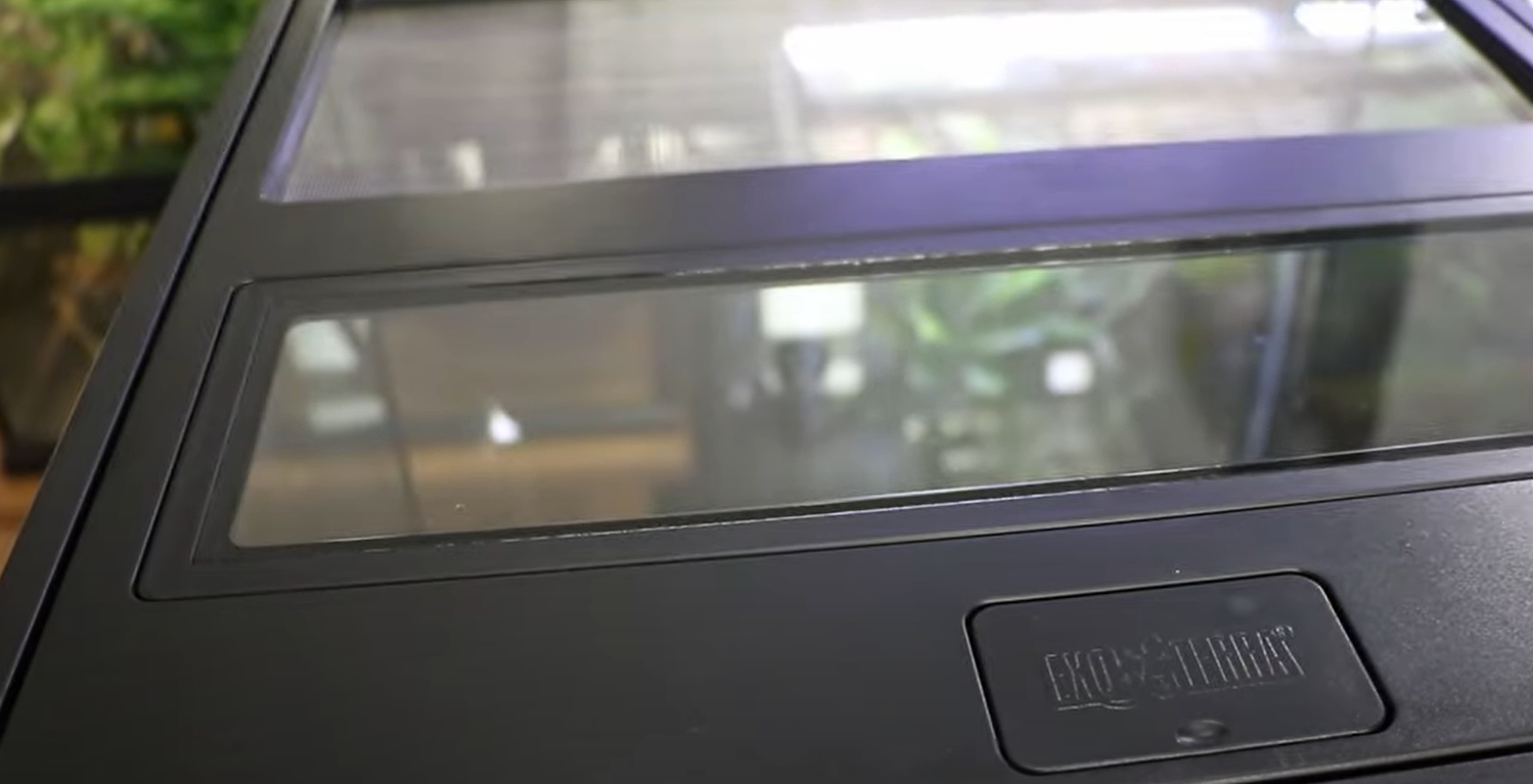 Exo Terra 18x18x18 Terrarium Review in August 2024 ReptileProfy