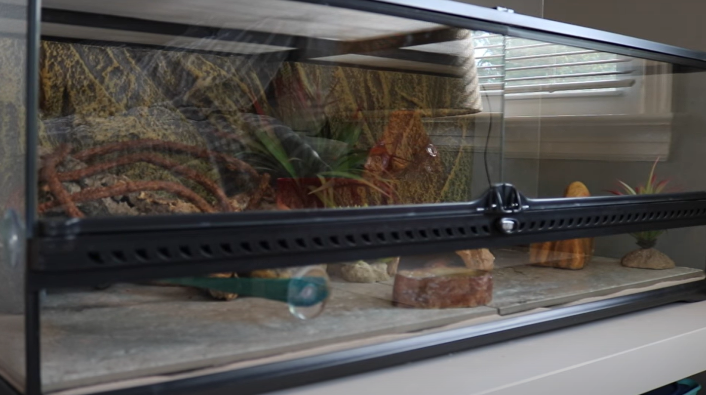 Exo Terra 36x18x12 Terrarium Review in August 2024 ReptileProfy