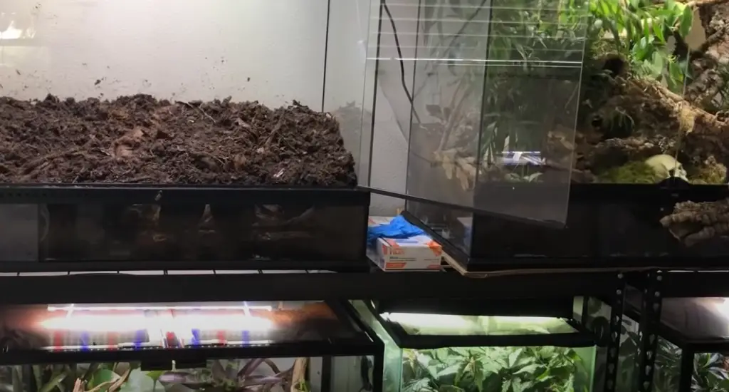 What are the large terrariums used for?