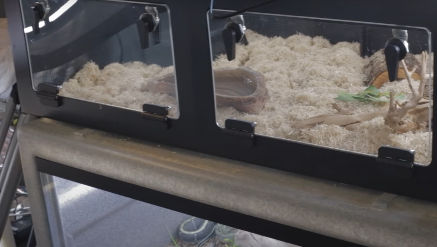 Zilla Critter Cage 40 Gallon Review in August 2024 ReptileProfy