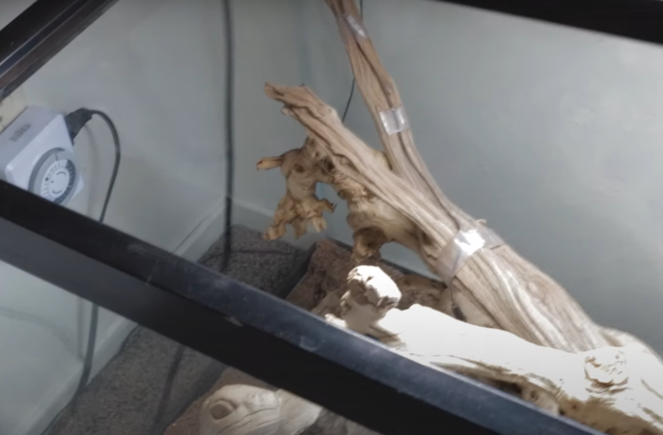 Zilla Critter Cage 40 Gallon Review in August 2024 ReptileProfy