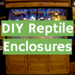 DIY Reptile Enclosures