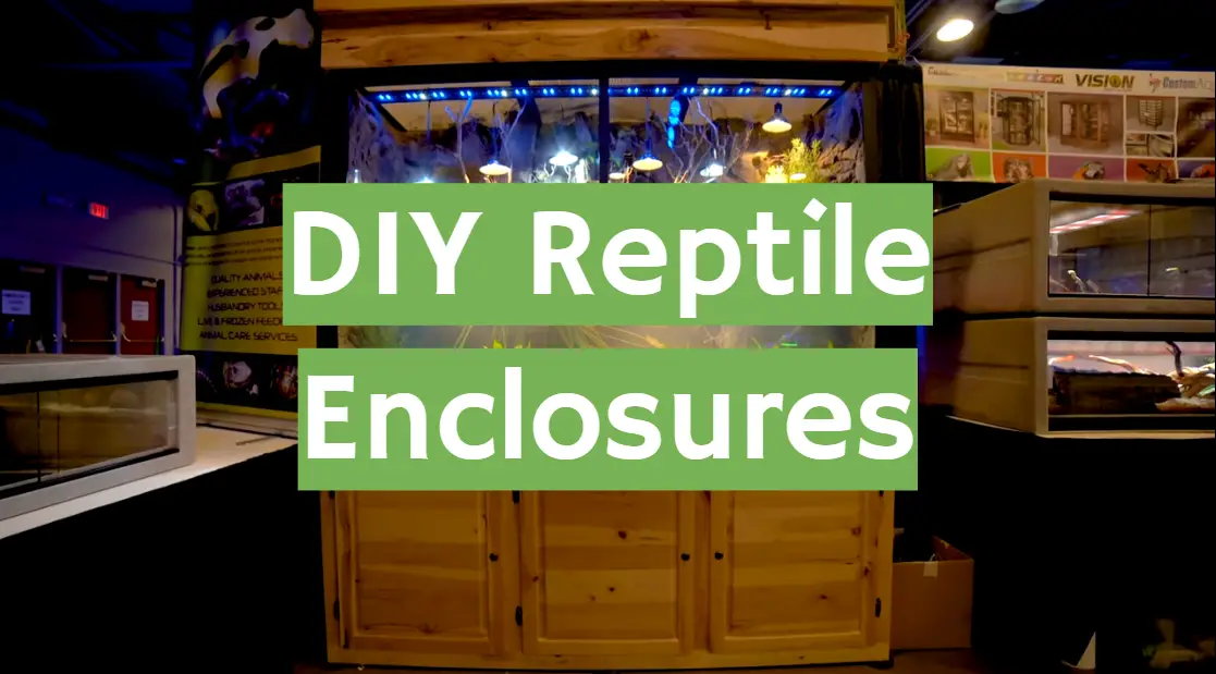 DIY Reptile Enclosures
