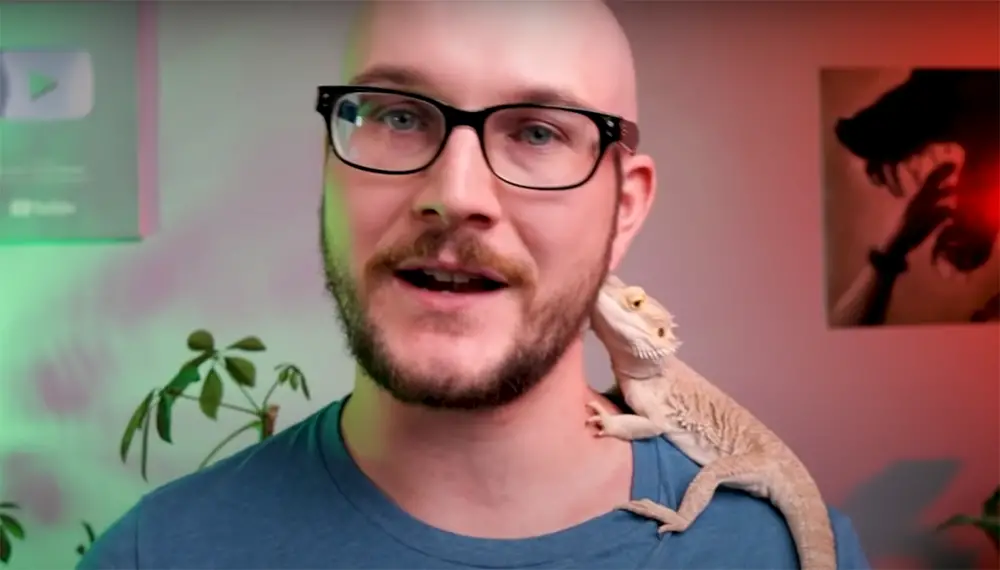 Why Does Uromastyx Make Good Pets?