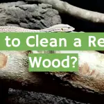 How to Clean a Reptile Wood?