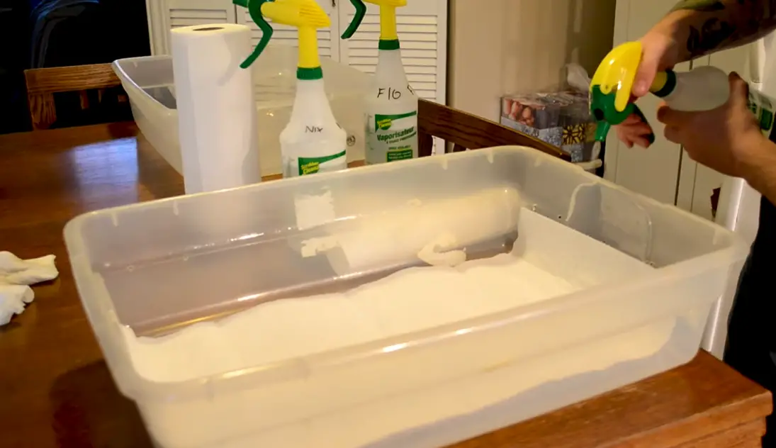 How to Get Rid of Reptile Mites? ReptileProfy