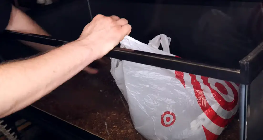 How to Clean a Reptile Tank? ReptileProfy