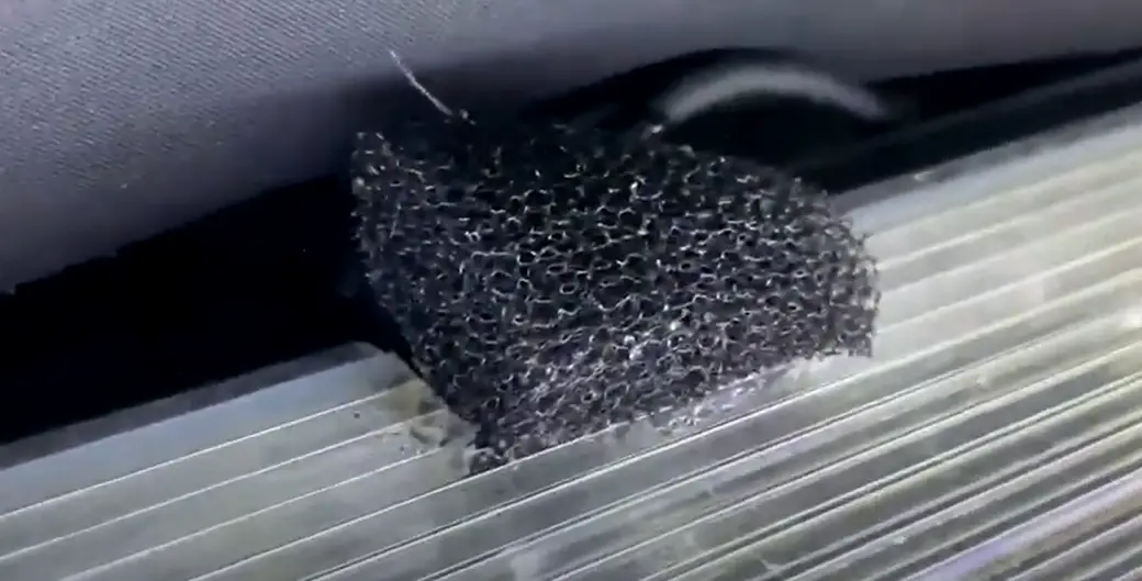 How to Get Rid of Gnats in Reptile Cage? ReptileProfy