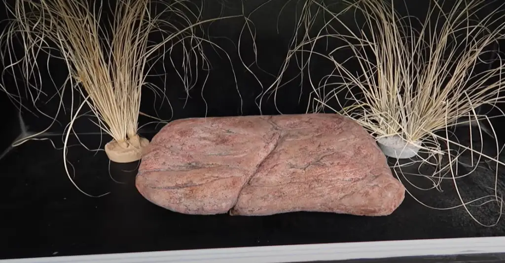 How to Make Fake Rocks for Reptile Cages