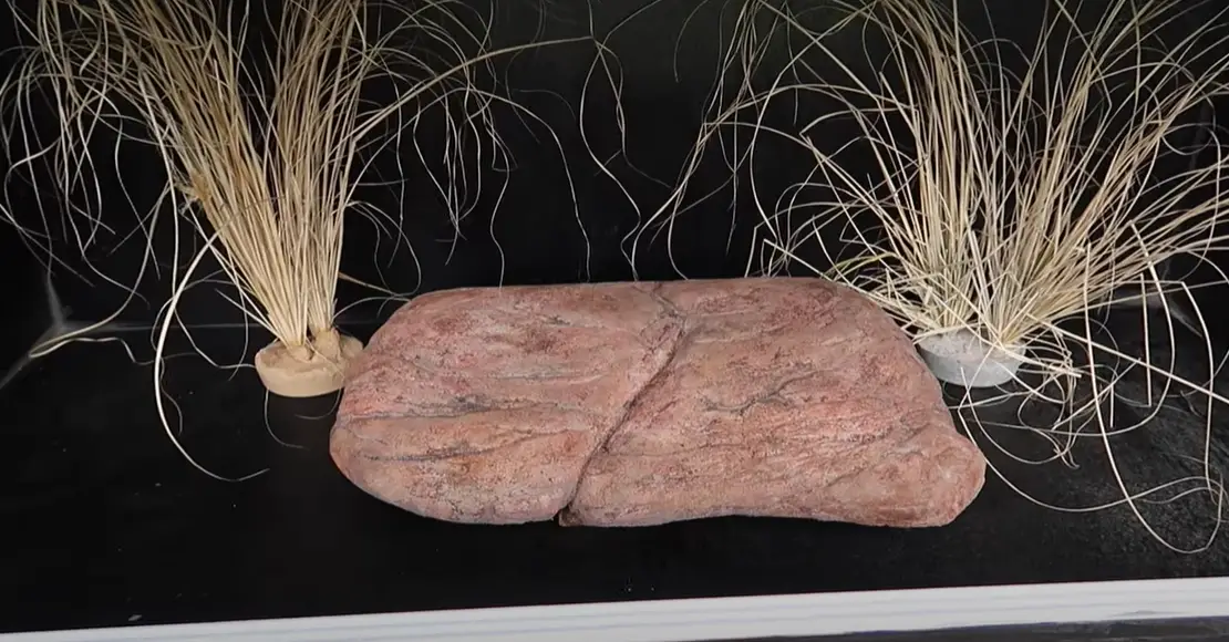How to Make Fake Rocks for Reptile Cages? ReptileProfy