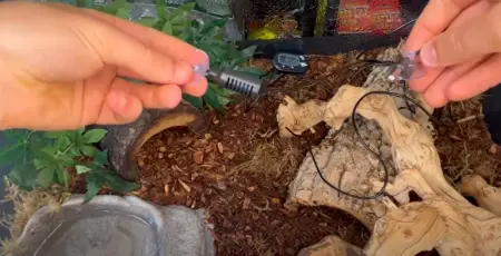 Image showcasing Where to Put a Thermometer in a Reptile Tank? - ReptileProfy