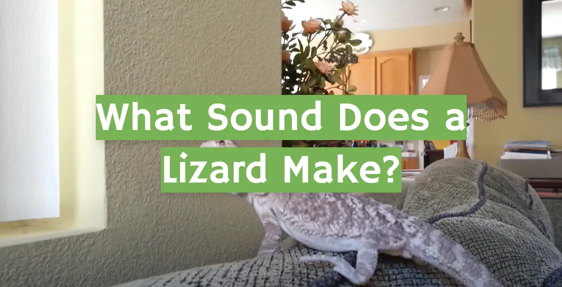 What Sound Does a Lizard Make?
