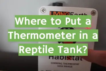 Where to Put a Thermometer in a Reptile Tank?