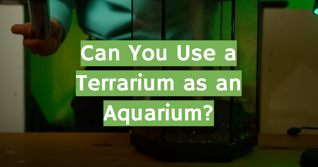 Can You Use a Terrarium as an Aquarium?