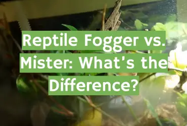 Reptile Fogger vs. Mister: What’s the Difference?