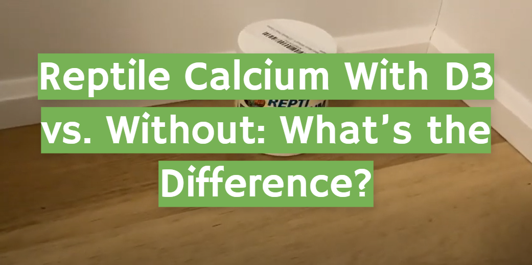 Reptile Calcium With D3 vs. Without: What’s the Difference?